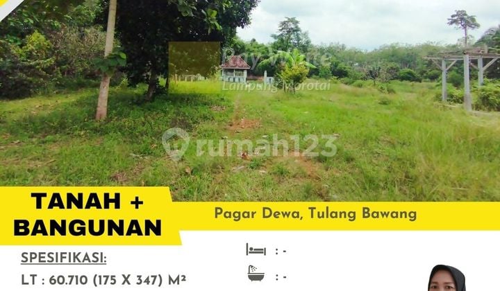Tanah Bonus Bangunan Tulang Bawang Barat Cepat