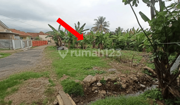 dijual tanah 4500 m2 unila rajabasa bandar lampung