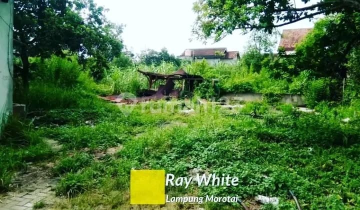 land 2433 m2 antasari bandar lampung