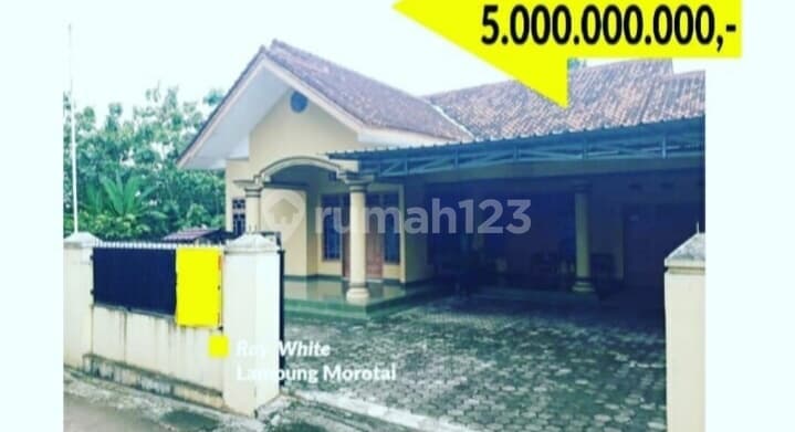 rumah LT 995 m2 rajabasa unila