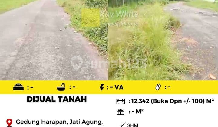 Tanah Murah Gedung Harapan Jati Agung