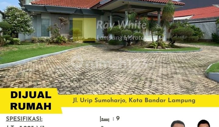 Rumah Besar Pinggir Jalan Murah Way Halim