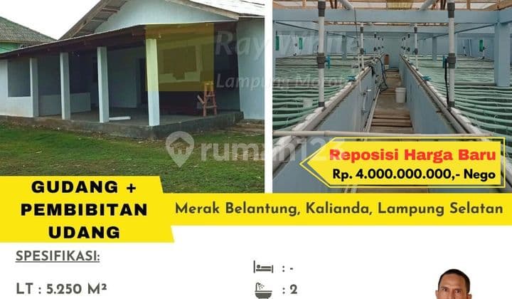 jual gudang murah merak belantung kalianda
