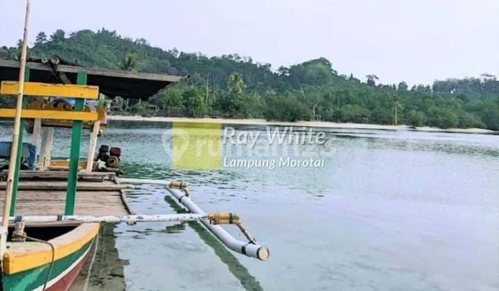 Dijuak Pantai Luas 2 hektar di Padang Cermin
