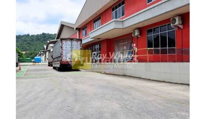 For Rent Large Warehouse Area 4800 in warehouse area