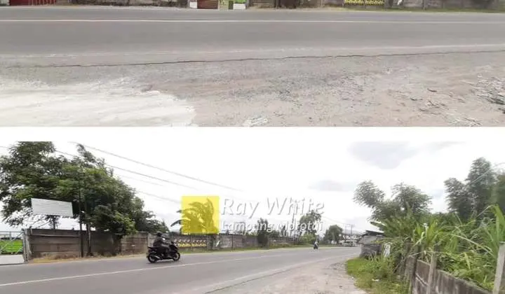 Tanah Murah Luas 3 Hektar Lokasi Panjang, Bandar Lampung