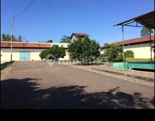 Dijual Pabrik Pengolahan dan Lahan Tanam dengan Luas 11 Hektar di Tegineneng