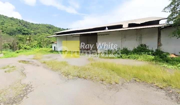 Warehouse for Sale plus 2.6 Hectares of Land