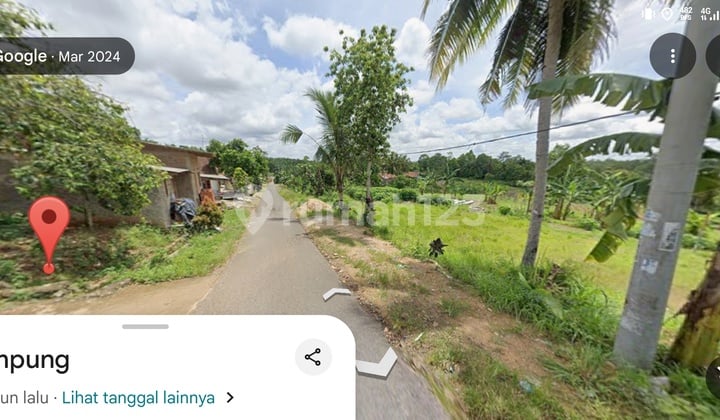 Dijual tanah murah luas 1,6 hektar di kaliasin, tanjung bintang Lamsel