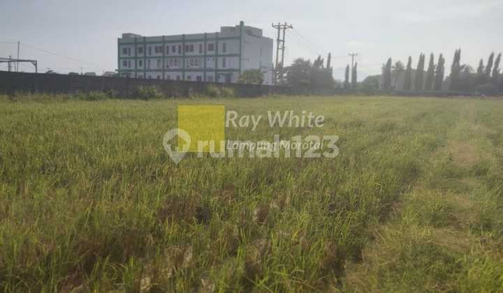 Dijual Tanah Luas 8000 di dekat Kampus UIN, Sukarame Bandar Lampung