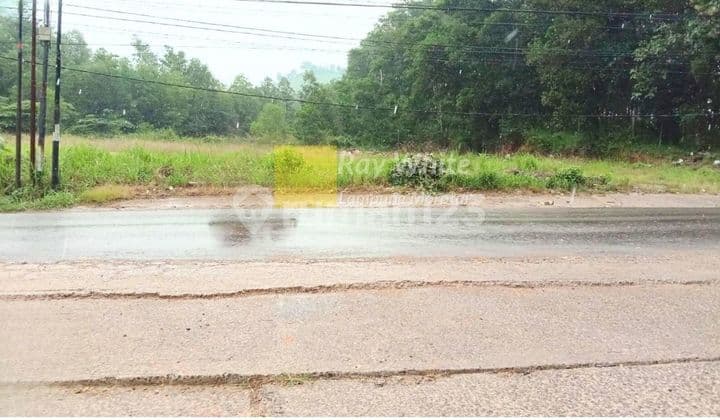 Tanah murah Luas 3493m² pinggir jalan raya