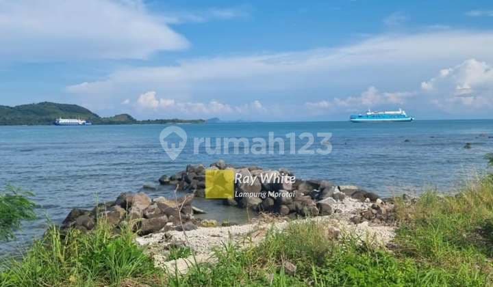 Cheap pond land near Bakauheni beach, South Lampung