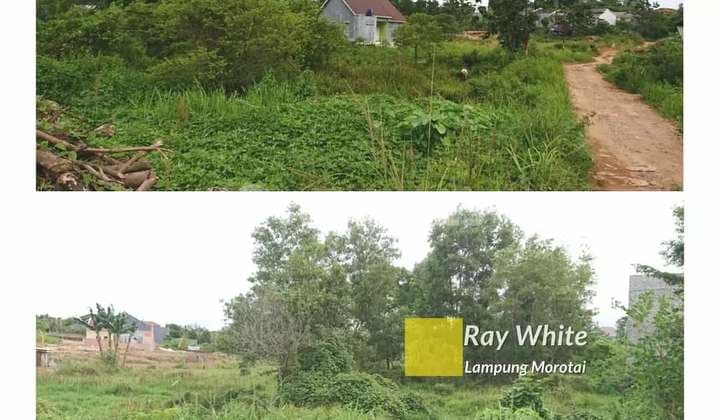 Dijual Tanah 2 hektar di Rajabasa Raya