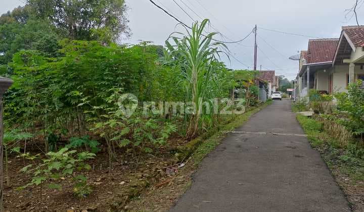 Dijual Tanah Murah Luas 600 di Langkapura