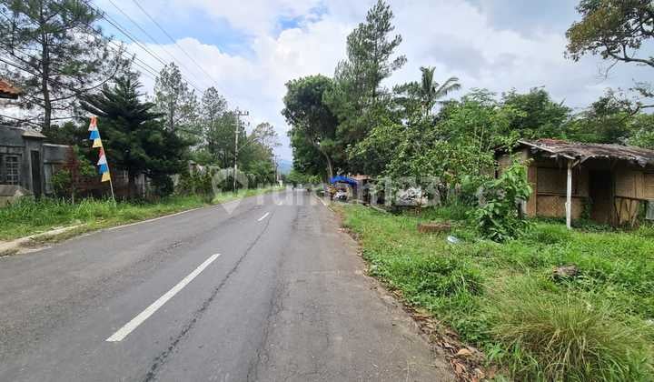 Tanah Lokasi Kawasan Wisata Harga di Bawah Pasar