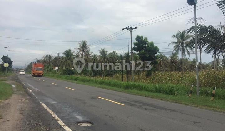 Dijual Cepat Tanah Pinggir Jalan Lintas Sumatera Lampung Selatan
