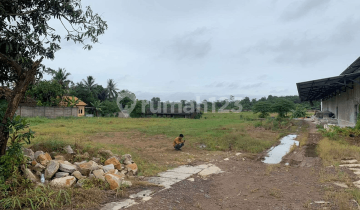 Gudang Dan Lahan Sewa di Kawasan Industri Sutami Tanjung Bintang