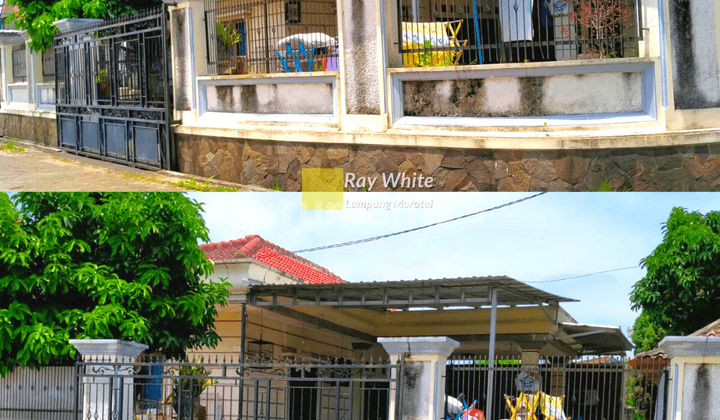 Comfortable neighborhood house