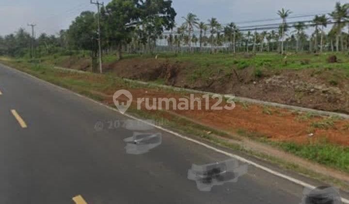 Tanah murah dipinggir Jalan TranS Sumatera Kalianda LuaS tanah 30.945 meter (3,1 ha)
