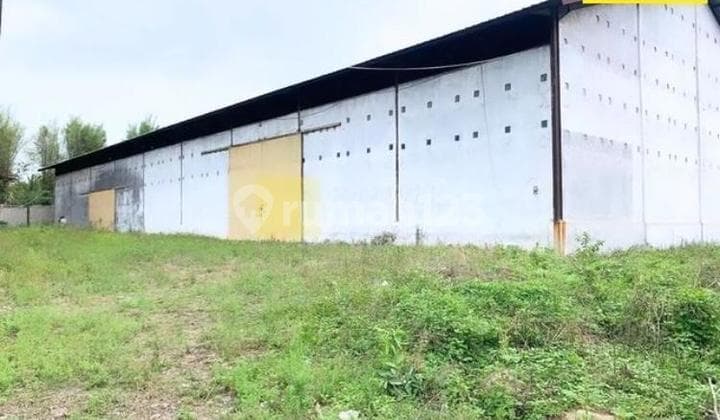 Gudang dijalan P. Tirtayasa Sukabumi Bandarlampung (ayo)