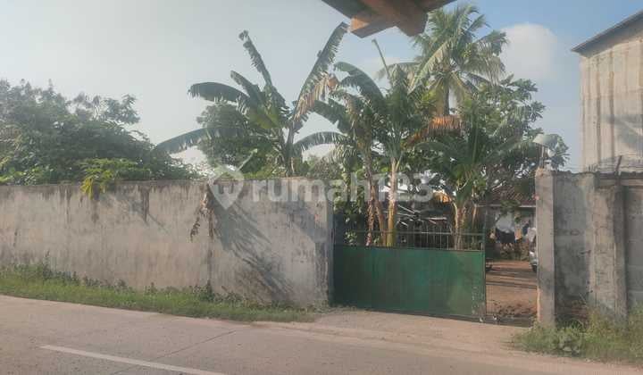 Tanah Bonus Bangunan Walet di Jln. Jenderal Sudirman Podomoro Priingsewu Lampung