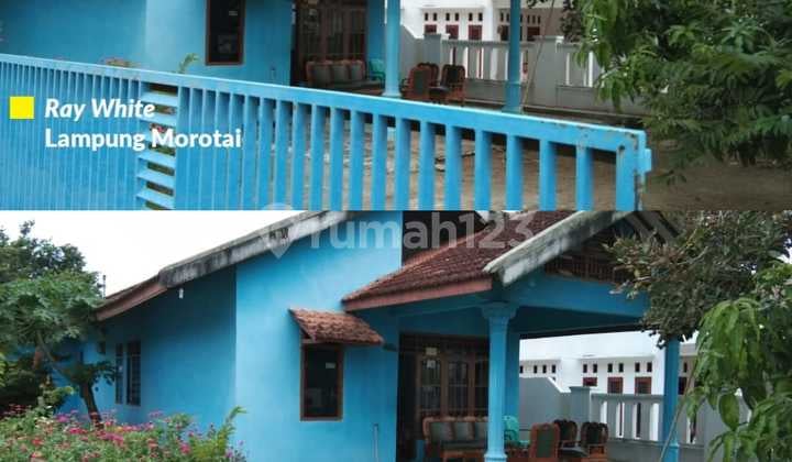 Rumah dengan Halaman Sangat Luas