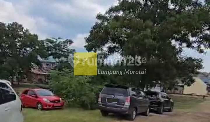 Miliki Tanah Green Stok di Perumahan Pusat kota