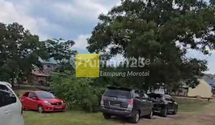 Miliki Tanah Green Stok di Perumahan Pusat kota