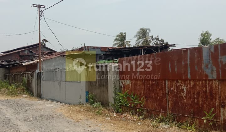 Cepat Gudang Ex Pabrik Kerupuk