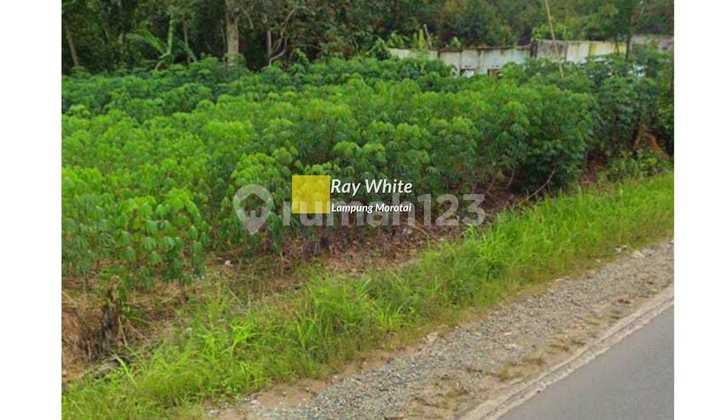 Tanah Dekat Polsek Gunung Sugih