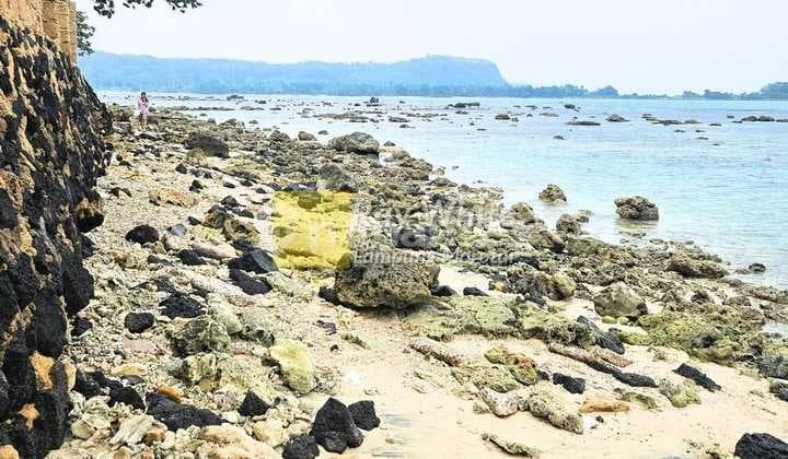 Dijual ex Tambak di Tepi Pantai ml