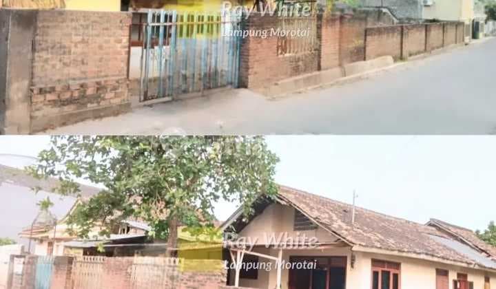 Dijual tanah Free Bangunan Harga bersaing ay