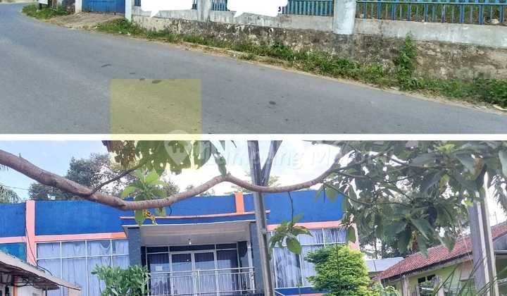 For Sale House Including Taua Building