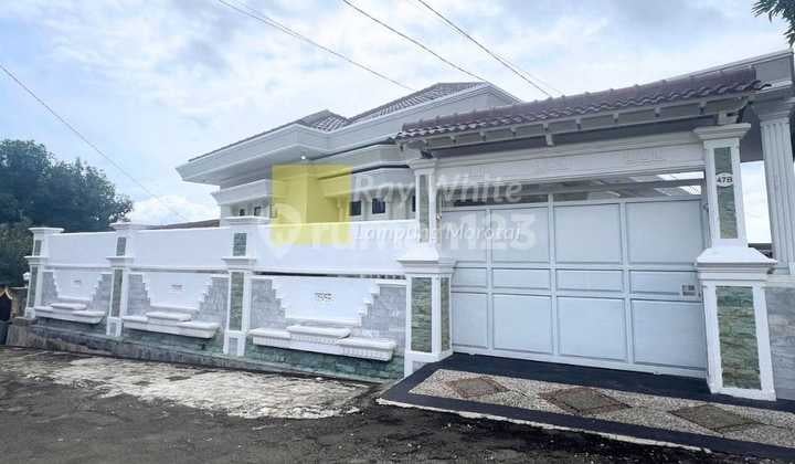 Dijual Rumah dan kontrakan Siap Huni hl