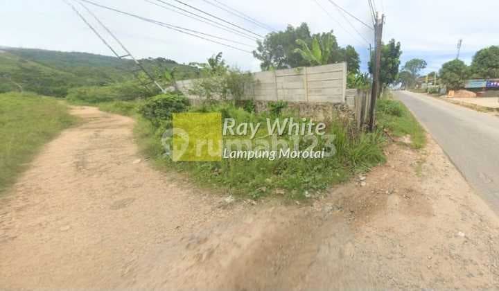 Dijual Tanah di Tirtayasa ay