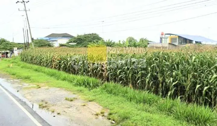 Dijual Tanah di Jalur Lintas