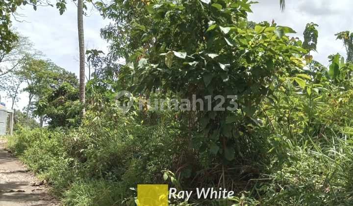 Dijual Tanah Perkebunan ad