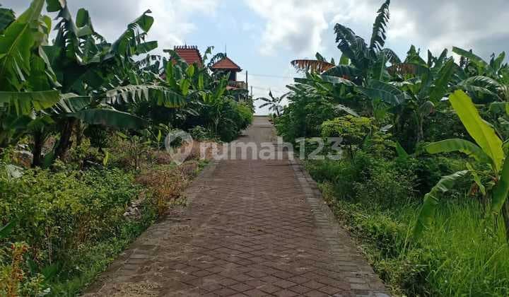 TANAH UNTUK PERUMAHAN ATAU VILLA DI MAMBAL