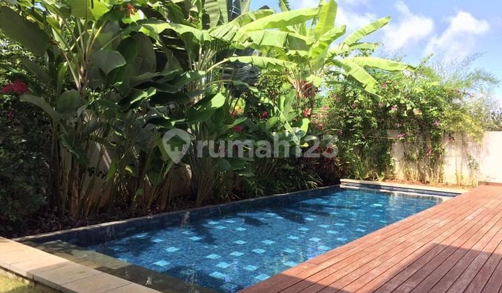 Villa menawan dengan pool dan taman yang luas di Ungasan