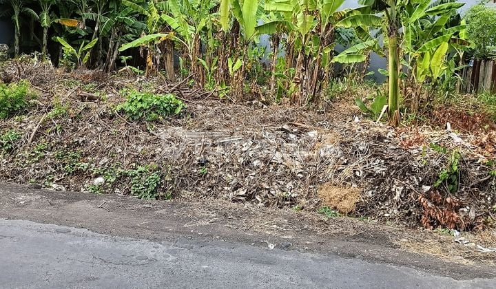Elite neighborhood land in Renon Denpasar City Center