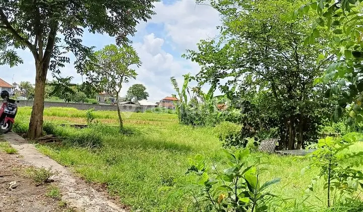 Tanah View Sawah Abadi dan Los Sungai di Ubud