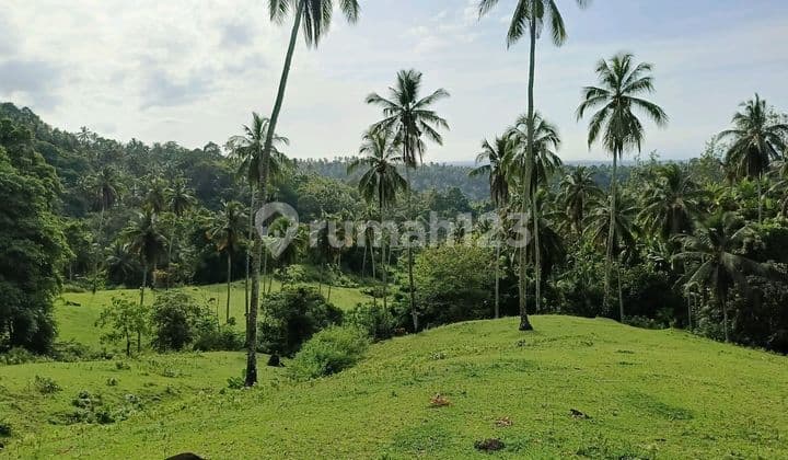 Tanah Strategis untuk Resort dan Villa di Selemadeg Barat