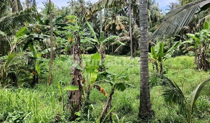 Tanah Jalan Utama Ida Bagus Mantra Saba Gianyar