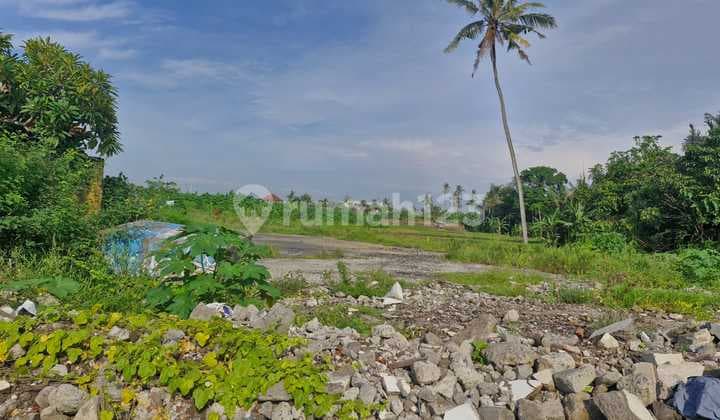 Tanah Cocok Untuk Gudang Di By Pass Mantra Ketewel