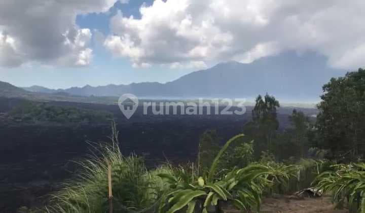 Tanah View Black Lava Caldera Danau Gunung Di Kintamani
