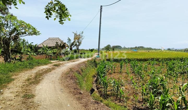 Land Tourism Zone Near Waka Yeh Gangga Resort