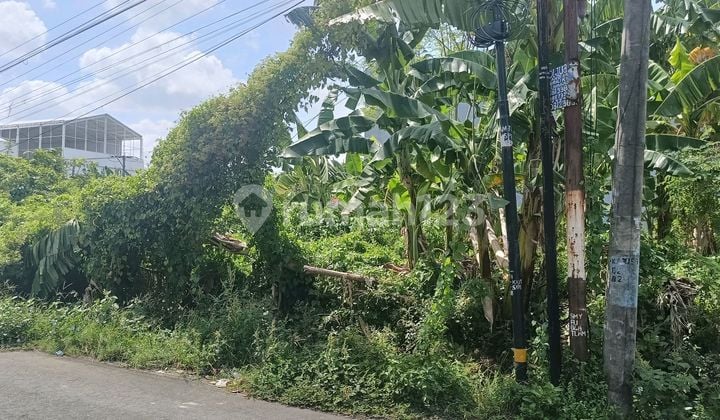 Land Near Sunset Road, Good for Guest House