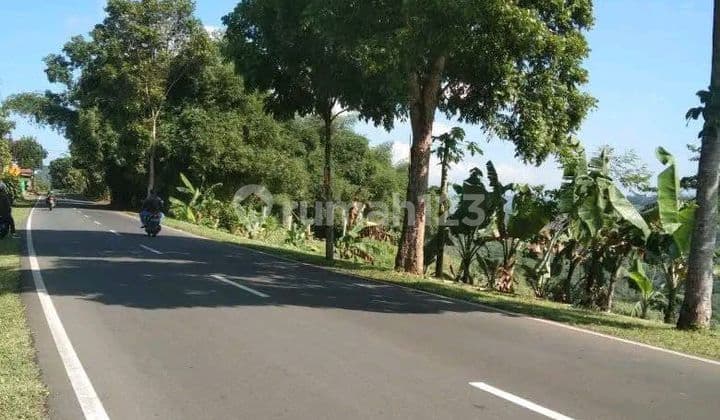 Dijual Tanah Zana Perumahan di Kecamatan Cikidang, Kabupaten Sukabumi, Propinsi Jawa Barat