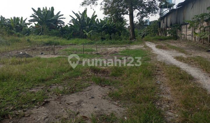 Dijual Tanah Zona Industri Di Jalan Raya Jawiilan, Kecamatan Jawilan, Kabupaten Serang, Propinsi Banten Izin Industri Sudah Lengkap Siap Bangun