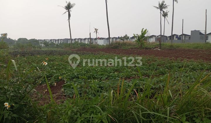 Tanah Komersial Dijual Disepanjang Belakang Ruko Perumahan Taman Ubud Lippo Karawaci Kota Tangerang